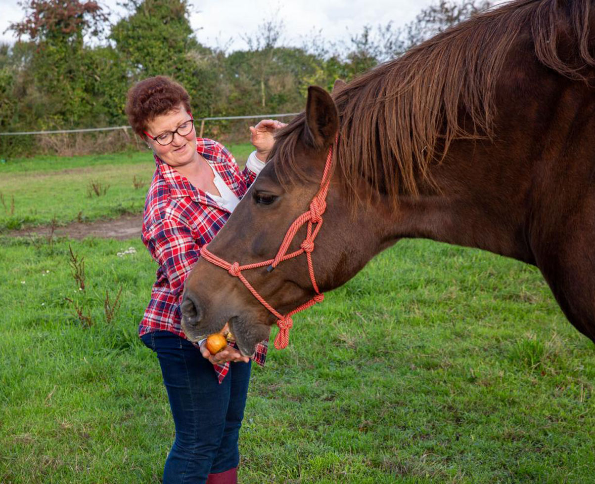 Rénovation intérieure à Saint-Sever