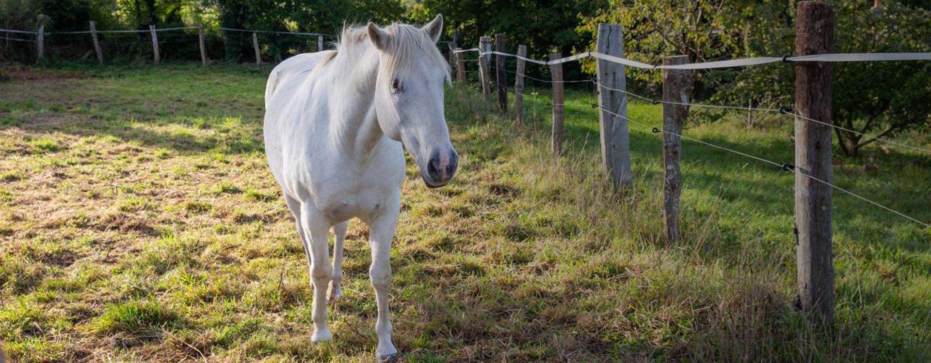 Relais étape équestre Valognes