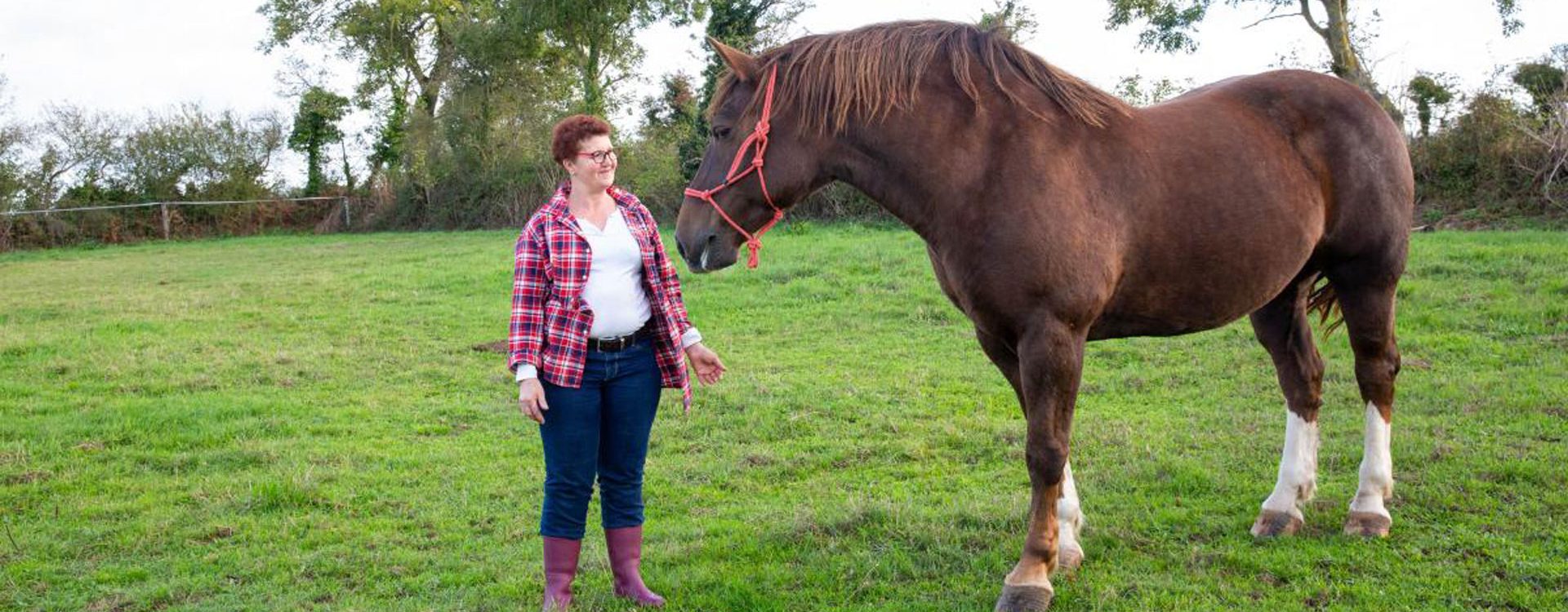 Relais étape équestre Saint-Lô Caen Cherbourg-en-Cotentin Valognes
